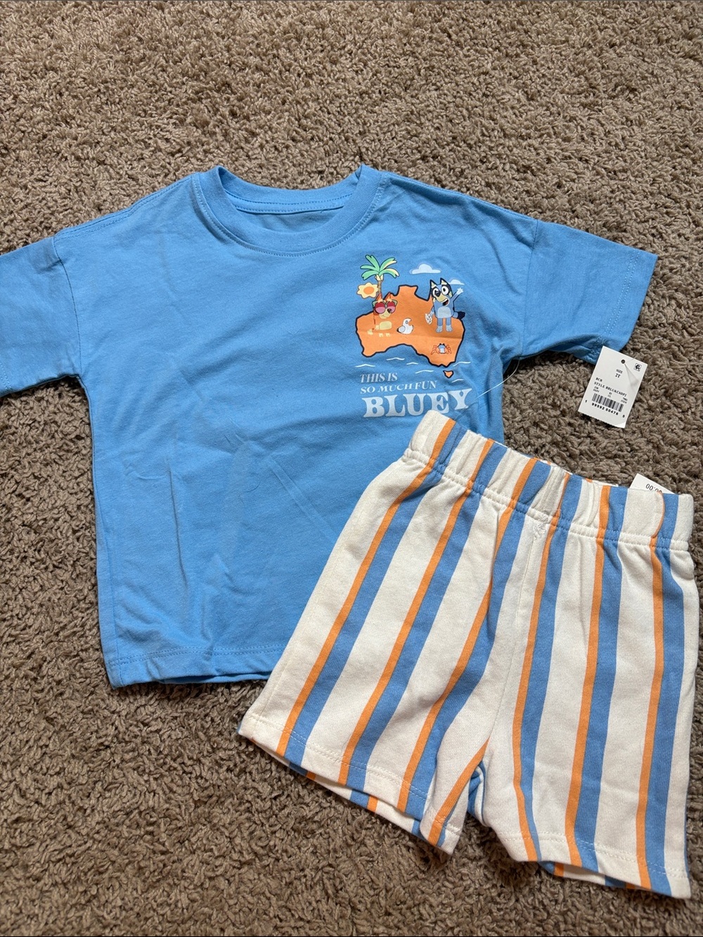 NWT Bluey Blue & Orange Striped Shorts and Blue Tee Set